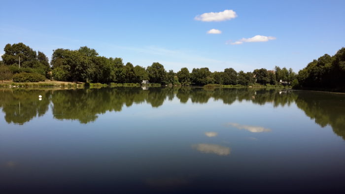 Bonny sur Loire – Gite du moulin -L’étang
