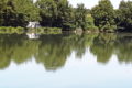 Bonny sur Loire – Gite du moulin – L’étang