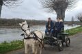 Ousson sur Loire – Balade en calèche