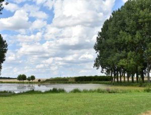 Adon – étang communal – 1er août 2018 – OT Terres de Loire et Canaux – IRémy (33)