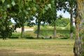 Adon  étang communal – 1er août – 2018 – OT Terres de Loire et Canaux – IRémy (37)