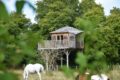 Batilly en Puisaye – Familly Ecolodge cabane perchée- 1 août 2018 – OT Terres de Loire et Canaux -IRémy (6)