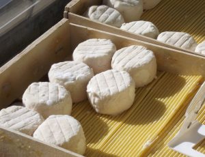 Beaulieu sur Loire – fromage de chèvre
