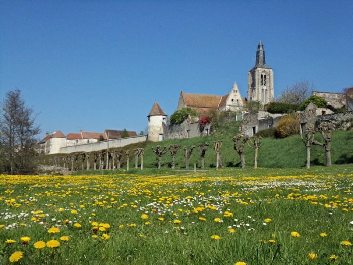 Bonny sur Loire 1er avril 2017 – OT Terres de Loire et Canaxu – IRémy (2)Bonny
