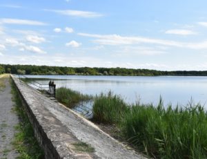 Breteau – étang de la Tuillerie – OT Terres de Loire et Canaux – IRémy (44)