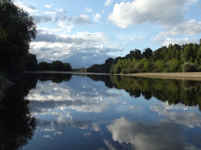 Nature – Loire – 9 août 2017 – OT Terres de Loire et Canaux – I.Rémy (2)