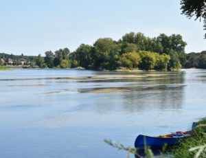 Ousson sur Loire –  Loire canoé – 12 septembre 2018 – OT Terres de loire et Canaux – IRémy (14)