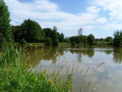 L'étang de Pierrefitte-es-bois