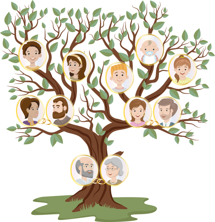 family-tree-gc1e1ba892_1280