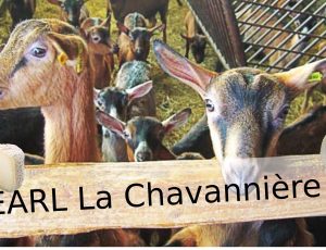 earl la chavanière – Chatillon sur Loire