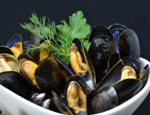 mussels-3148429_1920